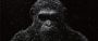 Planet of the Apes - Survival: Neuer Trailer zum Affenkrieg | Serienjunkies.de